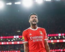 本菲卡转会期手感冰凉，志在国王杯名次提升，更衣室稳定，球探报告显示潜力